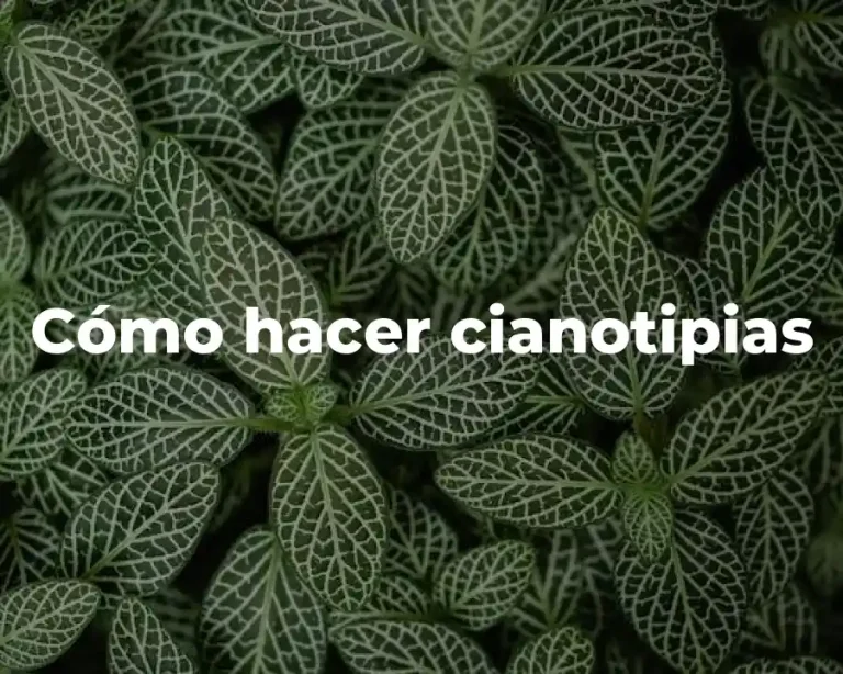 Cómo hacer cianotipias