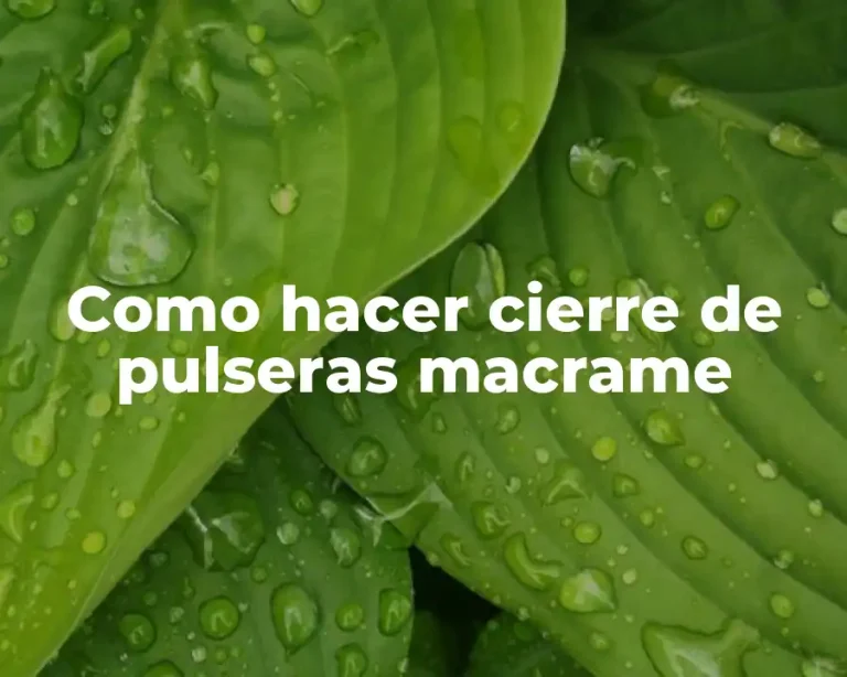 Como hacer cierre de pulseras macrame