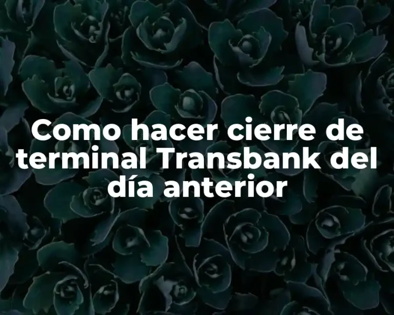 Como hacer cierre de terminal Transbank del día anterior