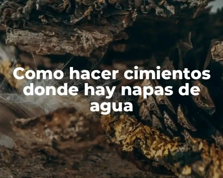 Como hacer cimientos donde hay napas de agua