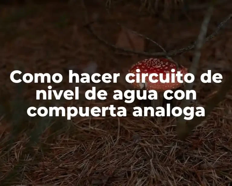 Como hacer circuito de nivel de agua con compuerta analoga