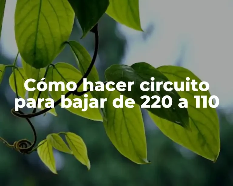 Cómo hacer circuito para bajar de 220 a 110