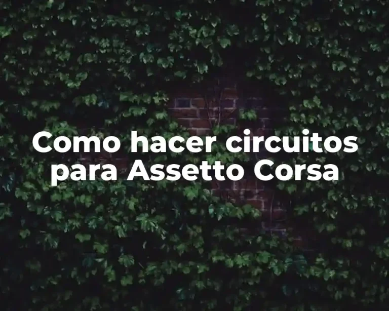 Como hacer circuitos para Assetto Corsa