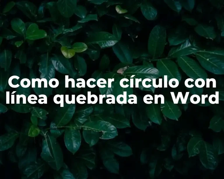 Como hacer círculo con línea quebrada en Word