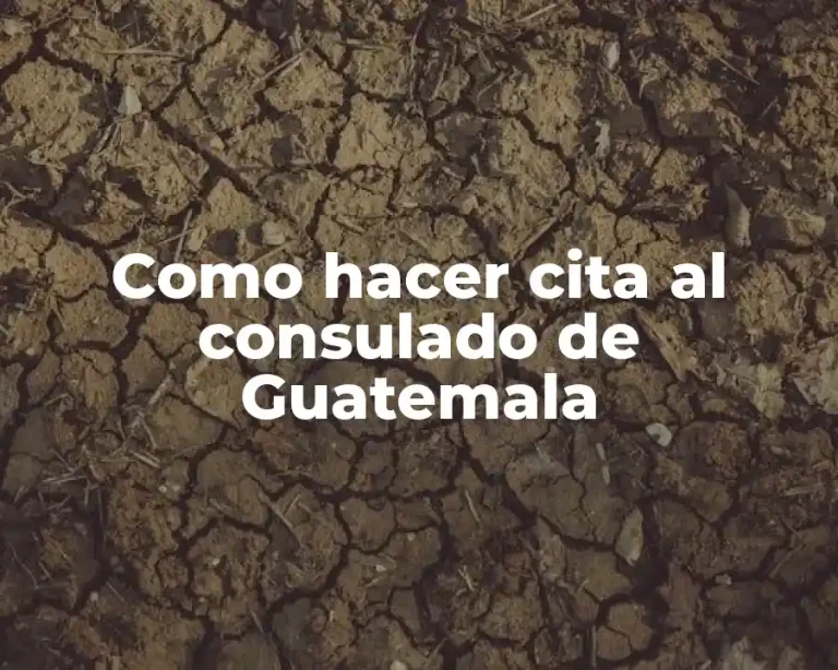 Como hacer cita al consulado de Guatemala