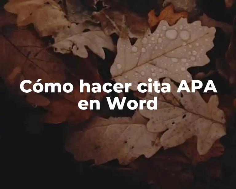 Cómo hacer cita APA en Word