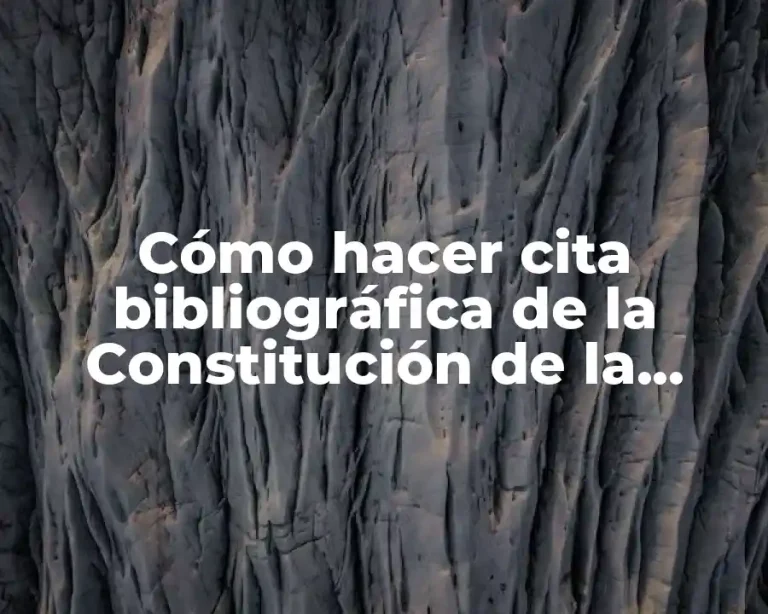 Cómo hacer cita bibliográfica de la Constitución de la República