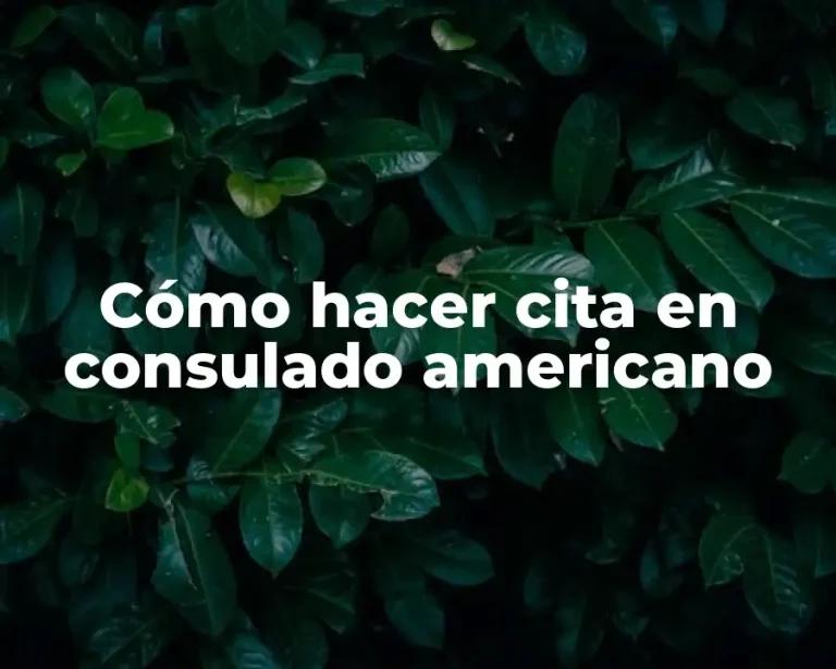 Cómo hacer cita en consulado americano