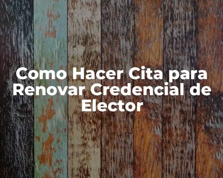 Como Hacer Cita para Renovar Credencial de Elector
