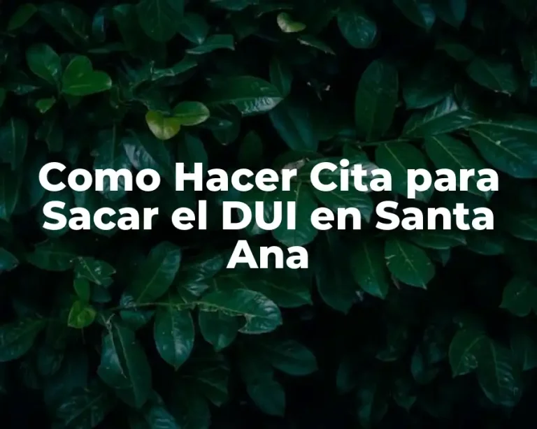Como Hacer Cita para Sacar el DUI en Santa Ana