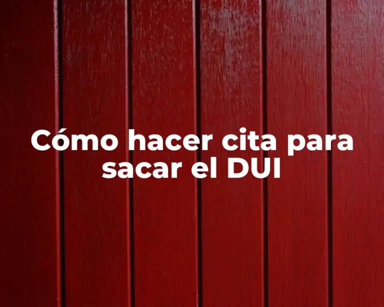 Cómo hacer cita para sacar el DUI