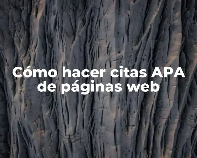 Cómo hacer citas APA de páginas web