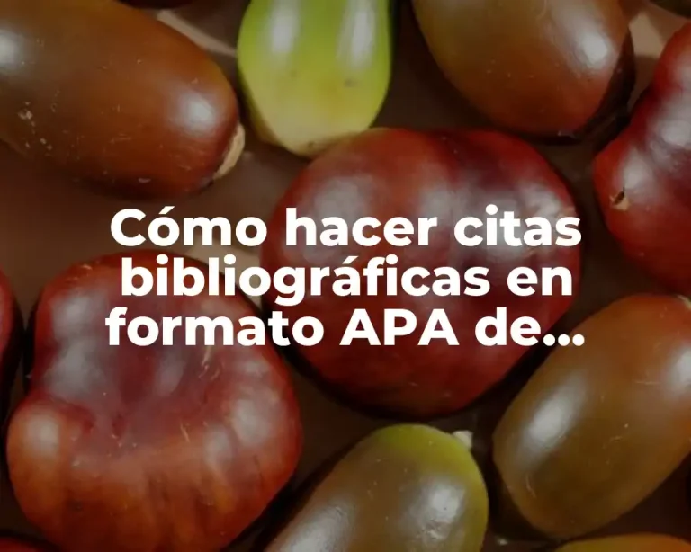 Cómo hacer citas bibliográficas en formato APA de internet