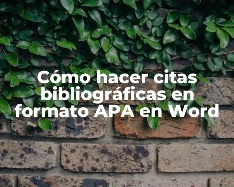 Cómo hacer citas bibliográficas en formato APA en Word