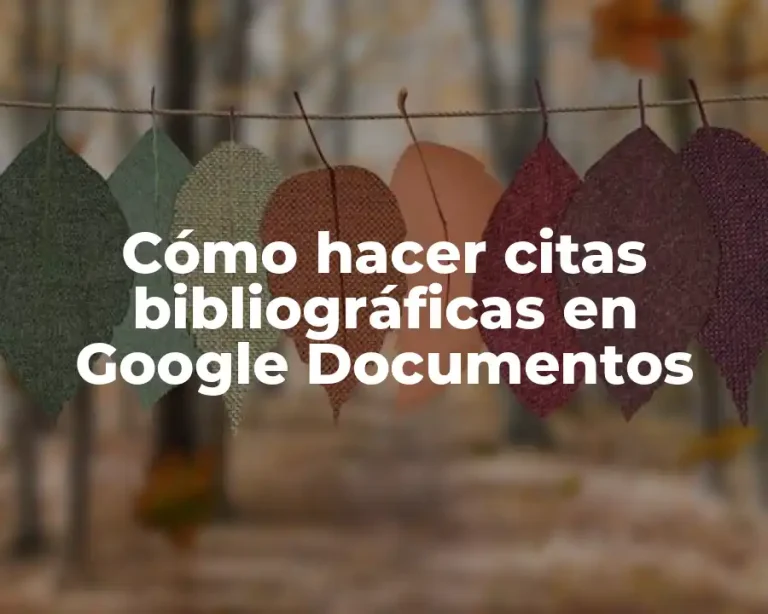 Cómo hacer citas bibliográficas en Google Documentos