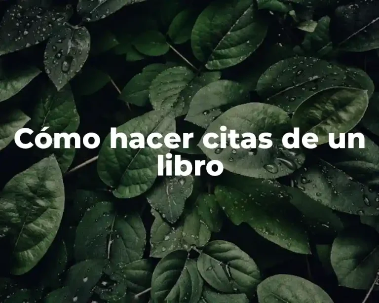 Cómo hacer citas de un libro