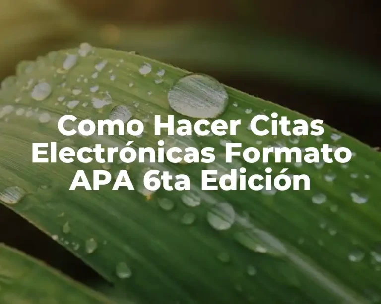Como Hacer Citas Electrónicas Formato APA 6ta Edición