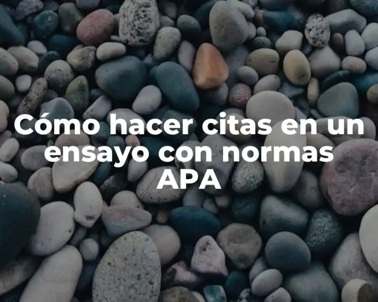Cómo hacer citas en un ensayo con normas APA