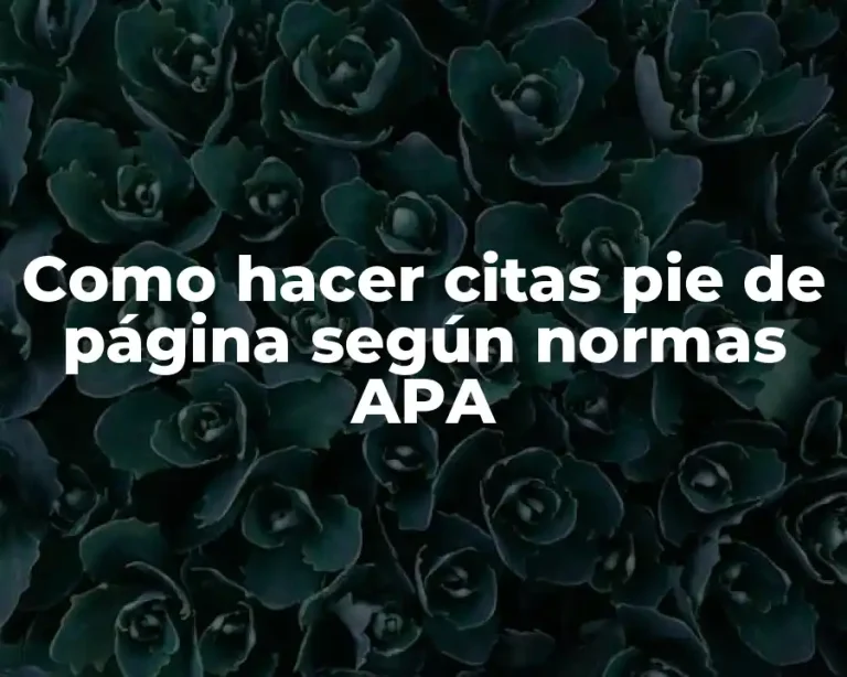 Como hacer citas pie de página según normas APA