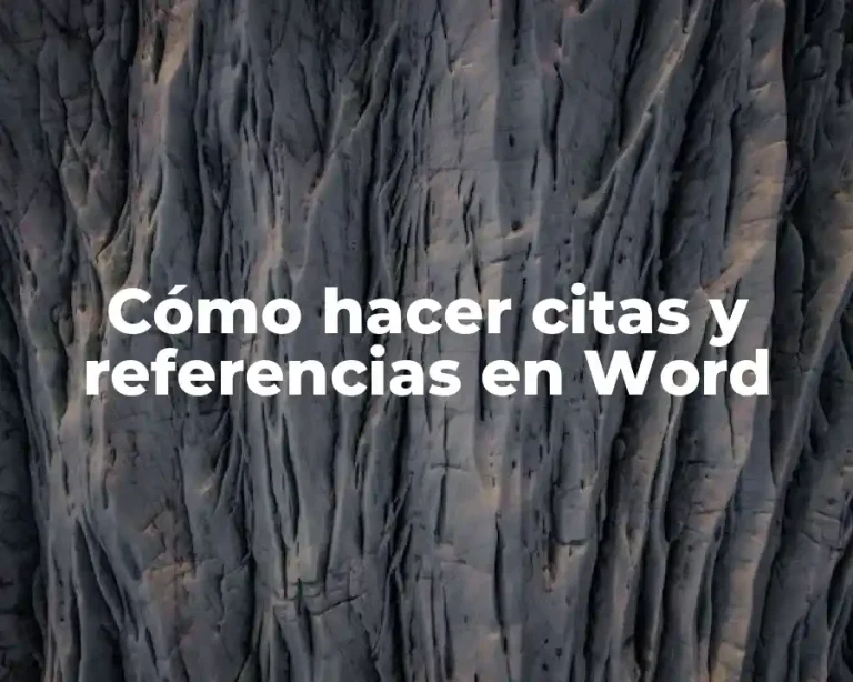 Cómo hacer citas y referencias en Word