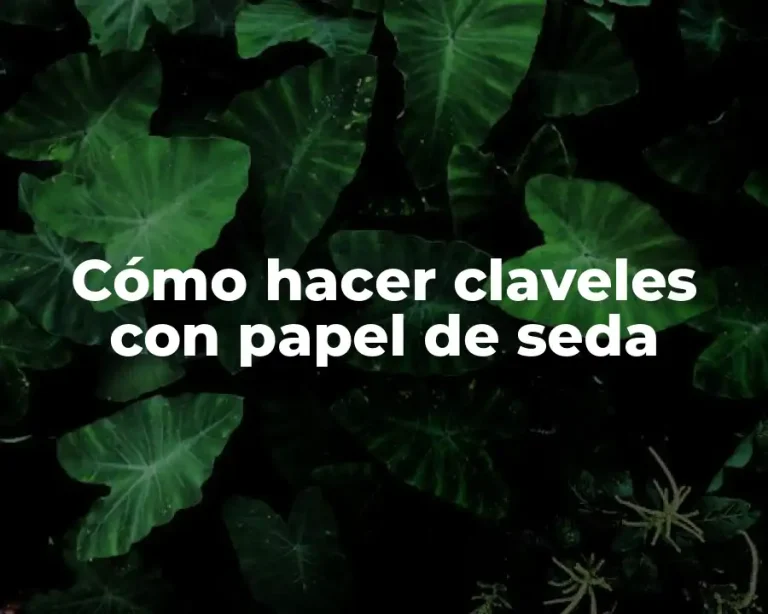 Cómo hacer claveles con papel de seda
