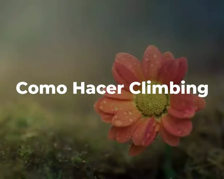 Como Hacer Climbing