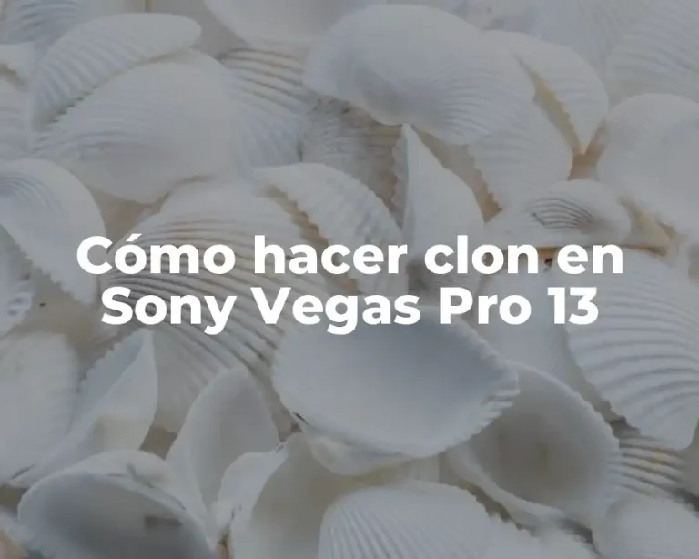Cómo hacer clon en Sony Vegas Pro 13