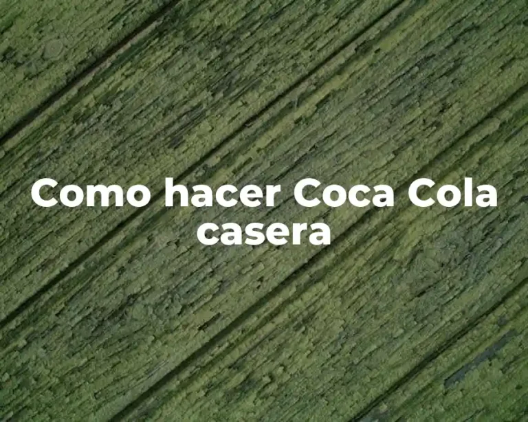 Como hacer Coca Cola casera