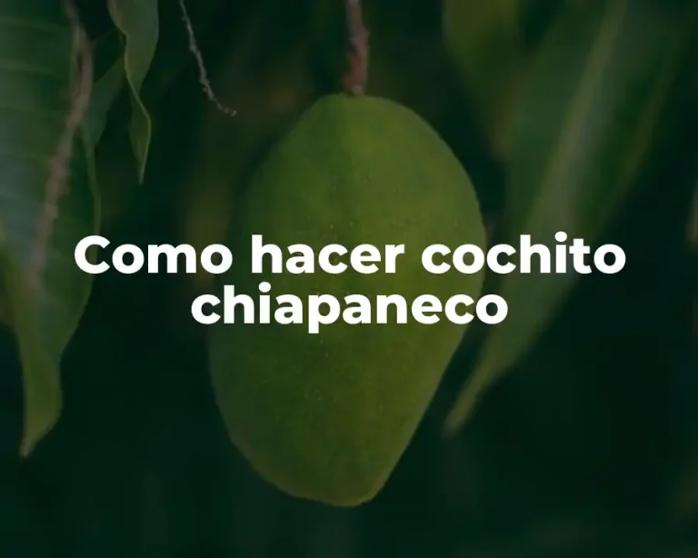 Como hacer cochito chiapaneco