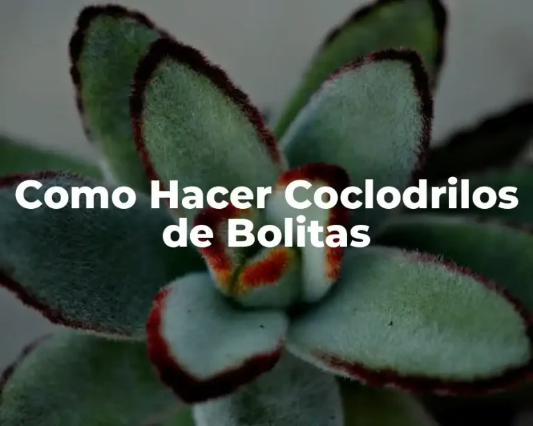 Como Hacer Coclodrilos de Bolitas
