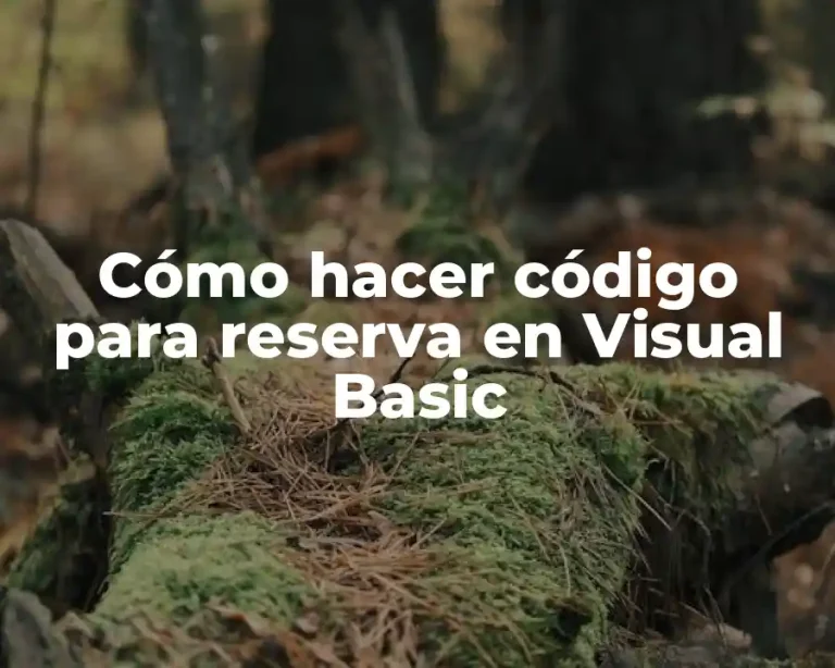 Cómo hacer código para reserva en Visual Basic