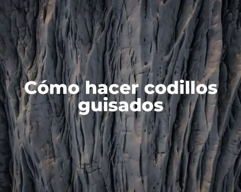 Cómo hacer codillos guisados