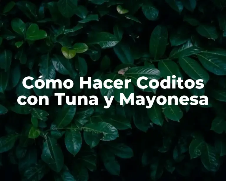 Cómo Hacer Coditos con Tuna y Mayonesa