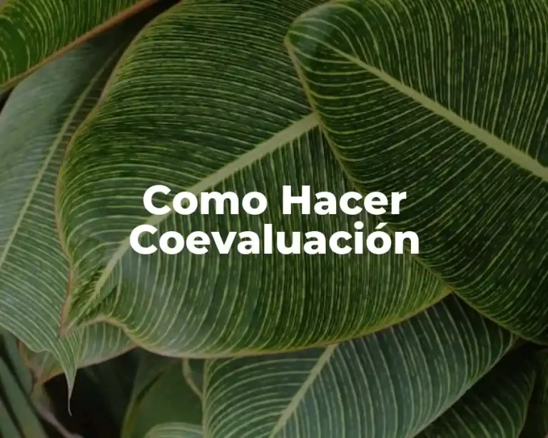 Como Hacer Coevaluación