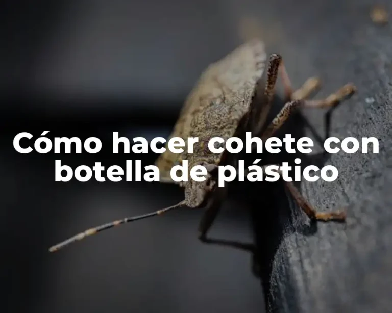 Cómo hacer cohete con botella de plástico