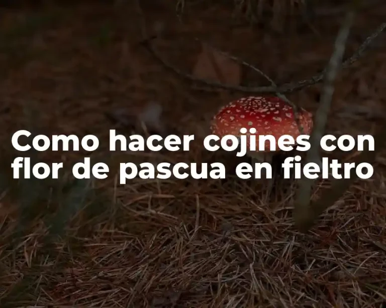 Como hacer cojines con flor de pascua en fieltro