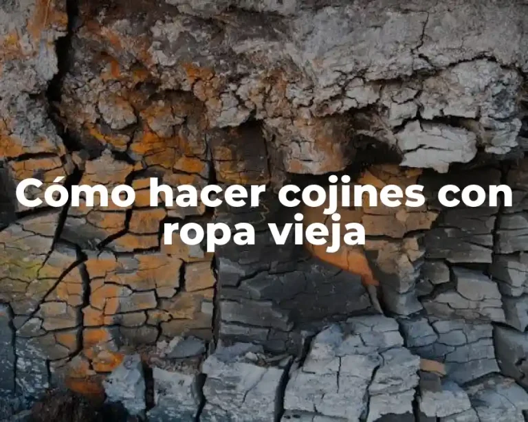 Cómo hacer cojines con ropa vieja