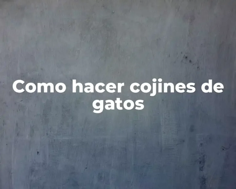 Como hacer cojines de gatos