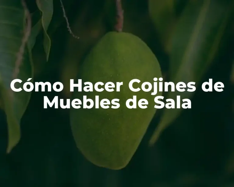 Cómo Hacer Cojines de Muebles de Sala