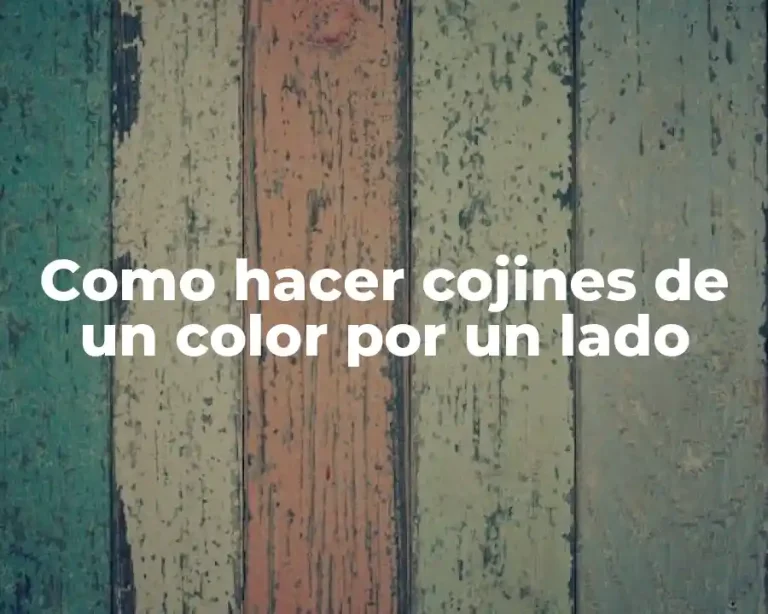 Como hacer cojines de un color por un lado
