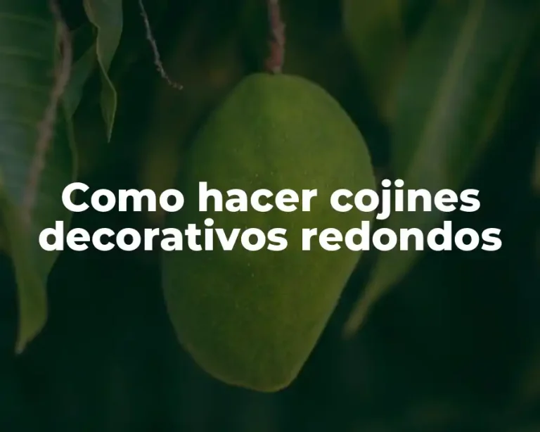 Como hacer cojines decorativos redondos