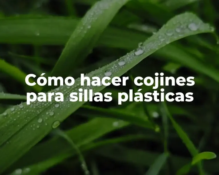 Cómo hacer cojines para sillas plásticas