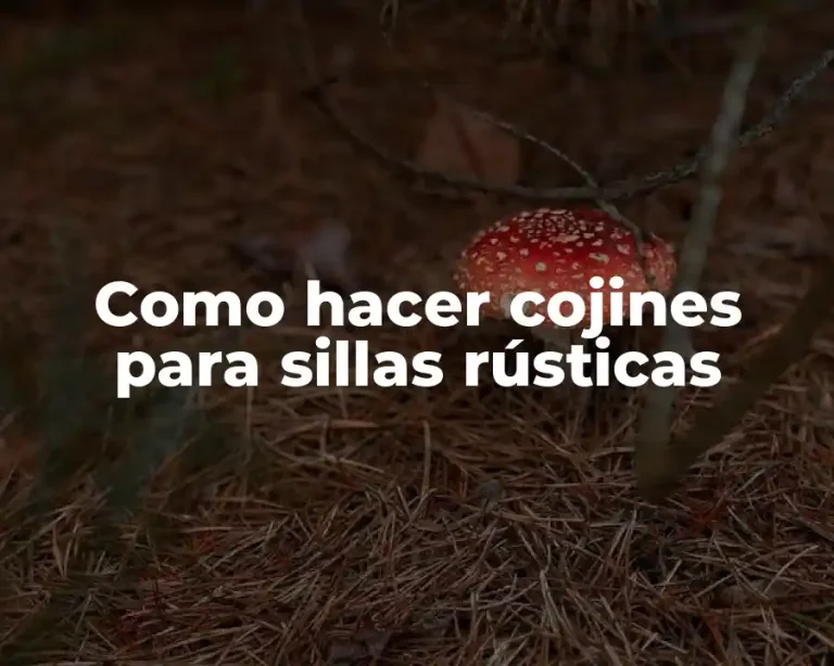 Como hacer cojines para sillas rústicas