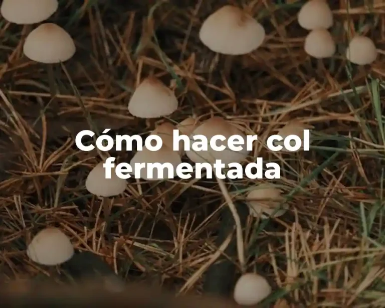 Cómo hacer col fermentada