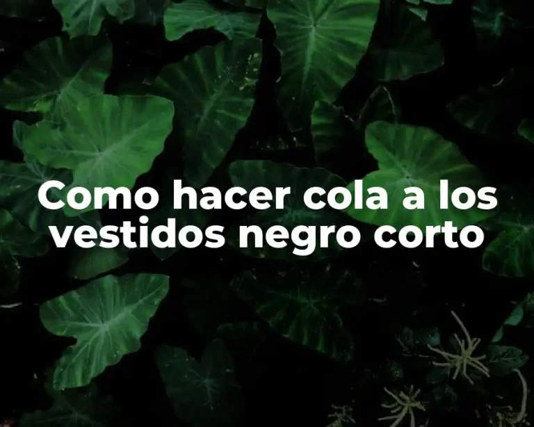 Como hacer cola a los vestidos negro corto