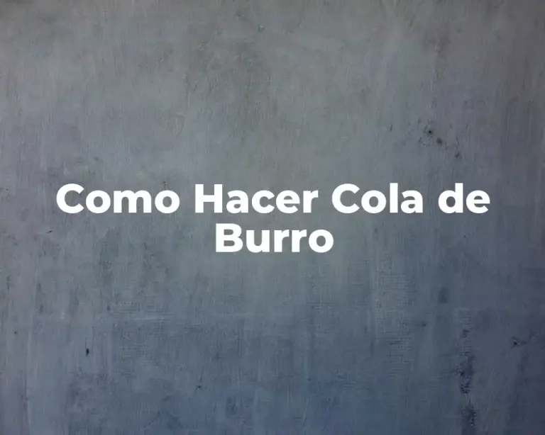 Como Hacer Cola de Burro