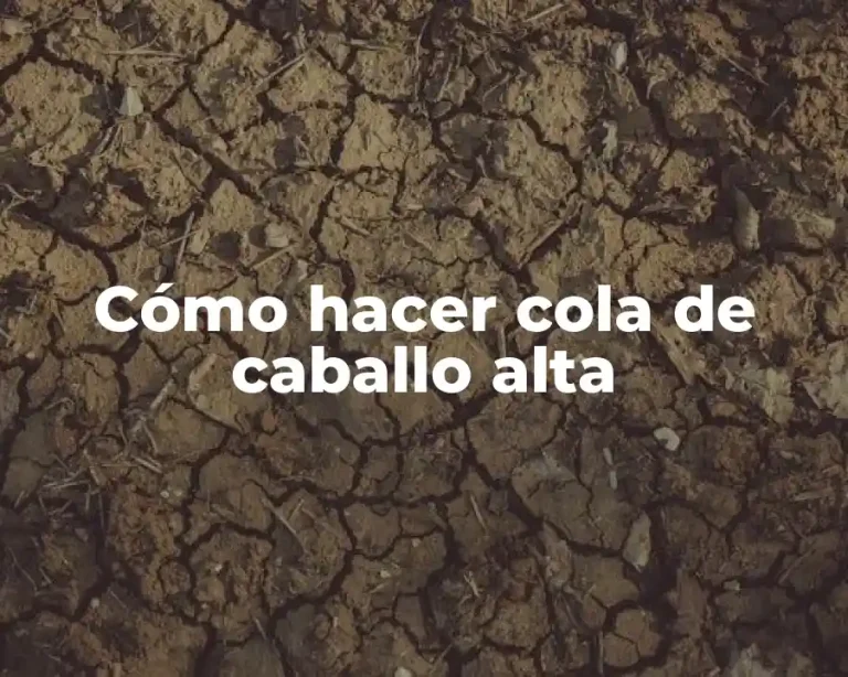 Cómo hacer cola de caballo alta