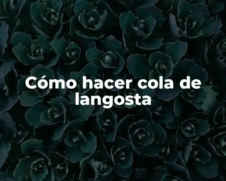 Cómo hacer cola de langosta