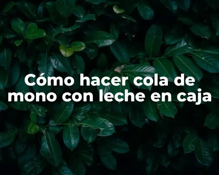 Cómo hacer cola de mono con leche en caja