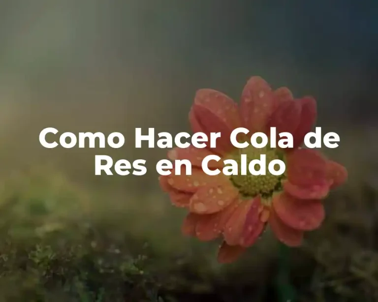 Como Hacer Cola de Res en Caldo